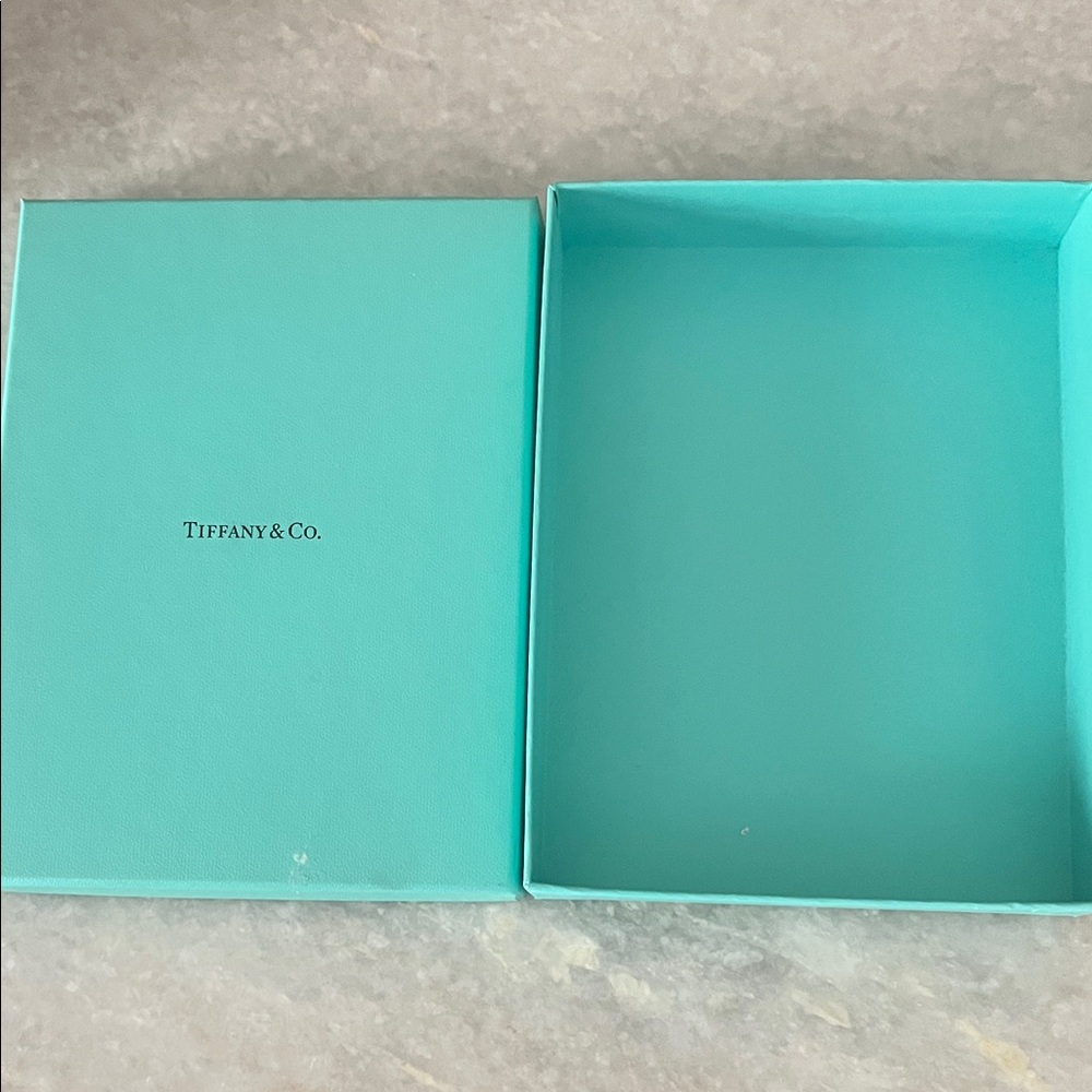 Tiffany & Co. Turquoise Gift Box